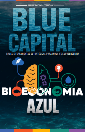 Capa do Livro Blue Capital